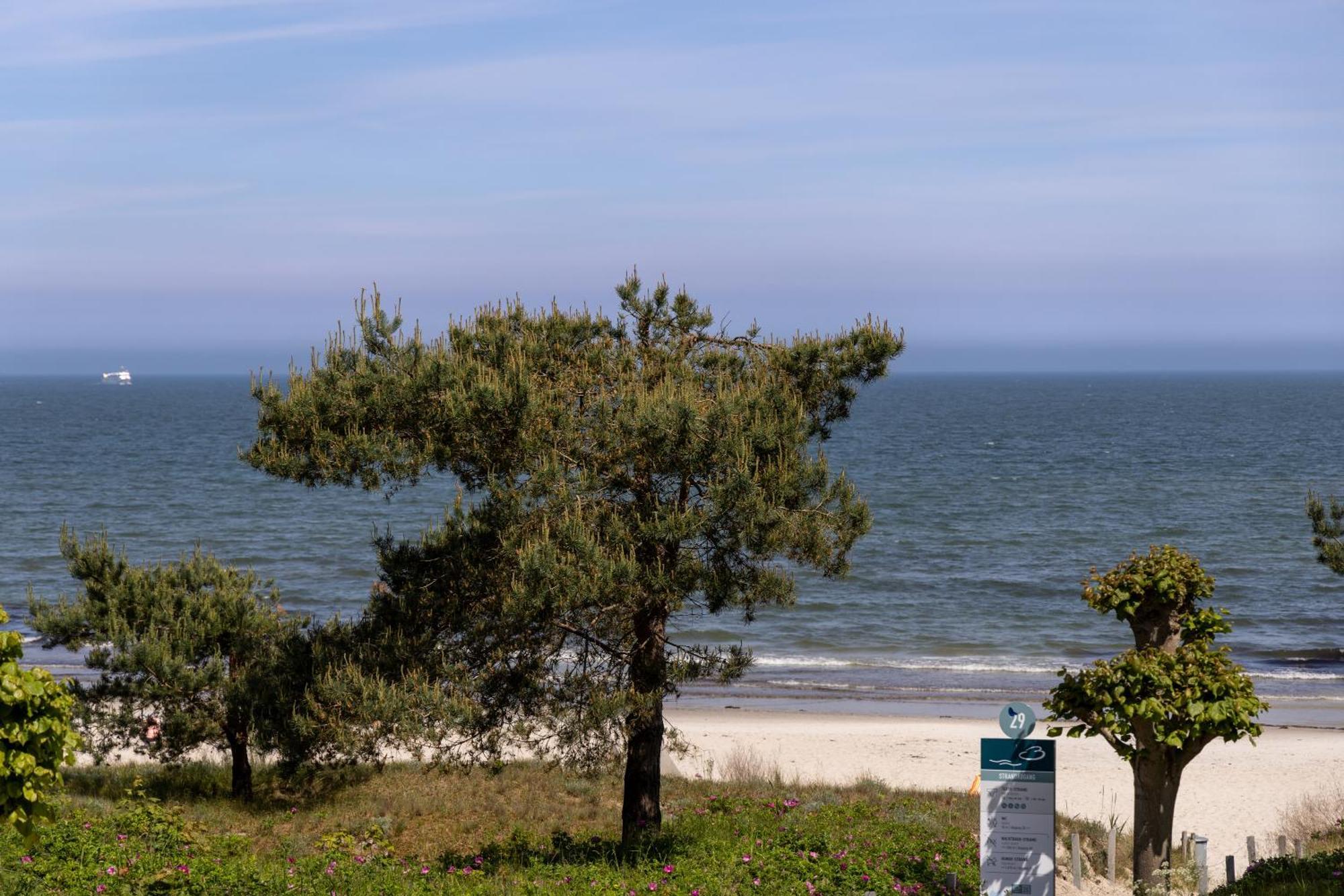Strandzauber - Helene Mit Seitlichem Meerblick Direkt Am Appartement *
